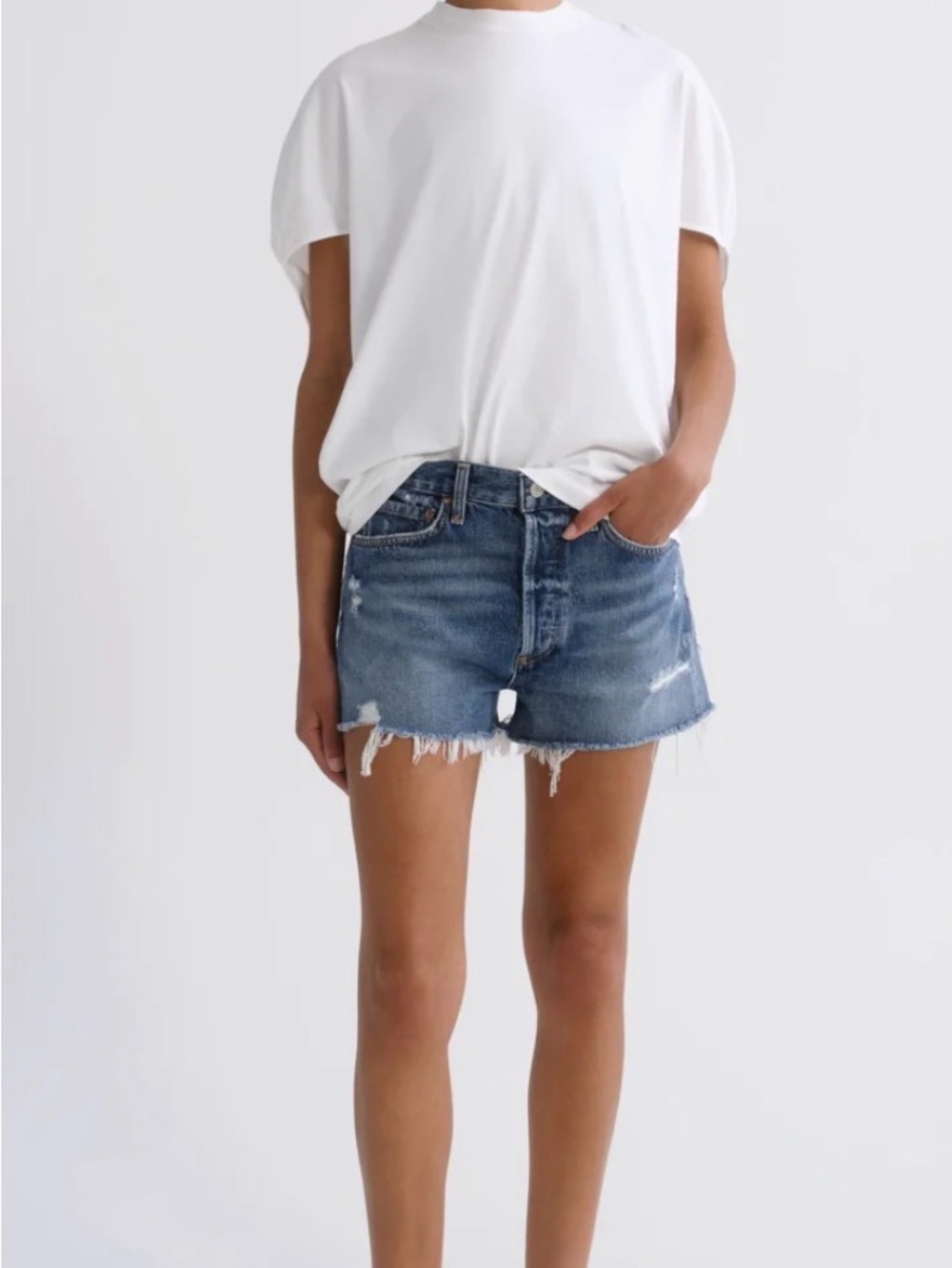 AGOLDE Parker Vintage Cut Off Short in Swapmeet
